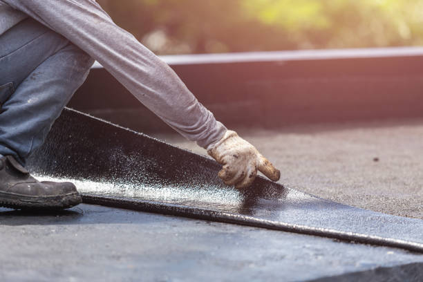 Professional Crawl Space Encapsulation technician working in Newbern, AL